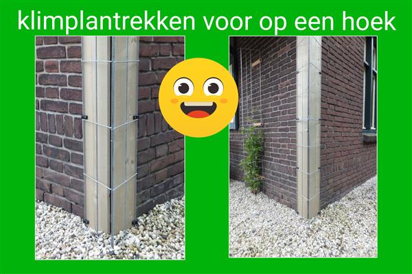 Grote foto plantenrekken tegen schuttingen muren en palen tuin en terras hekken en schuttingen