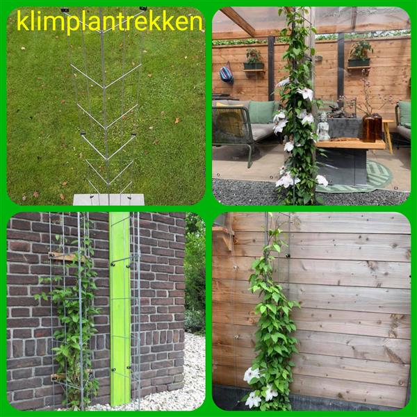 Grote foto plantenrekken tegen schuttingen muren en palen tuin en terras hekken en schuttingen