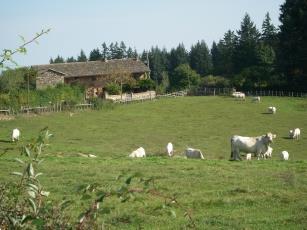 Grote foto vakantiehuizen bourgogne barricant vakantie frankrijk