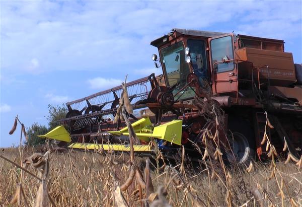 Grote foto het ettaro aanbouwdeel van sojabonen agrarisch oogstmachines