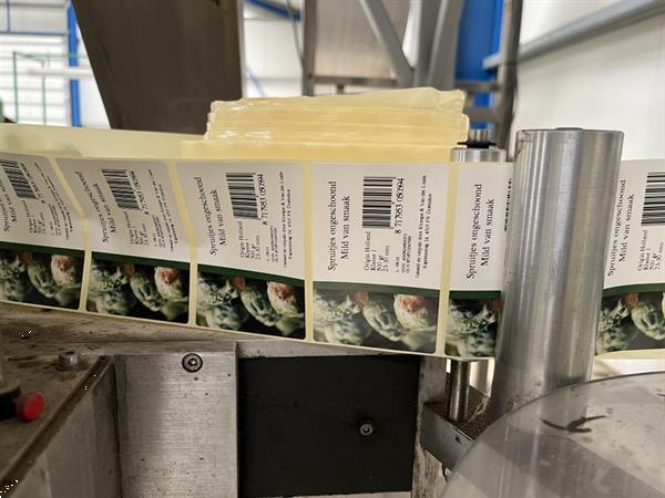 Grote foto hastamat multihead afweegmachine met verticale flowpackmachine en transportbanden agrarisch tuinbouw