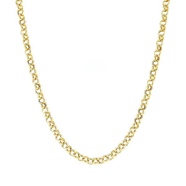Grote foto gouden collier jasseron 45 cm 14 krt 310 sieraden tassen en uiterlijk kettingen