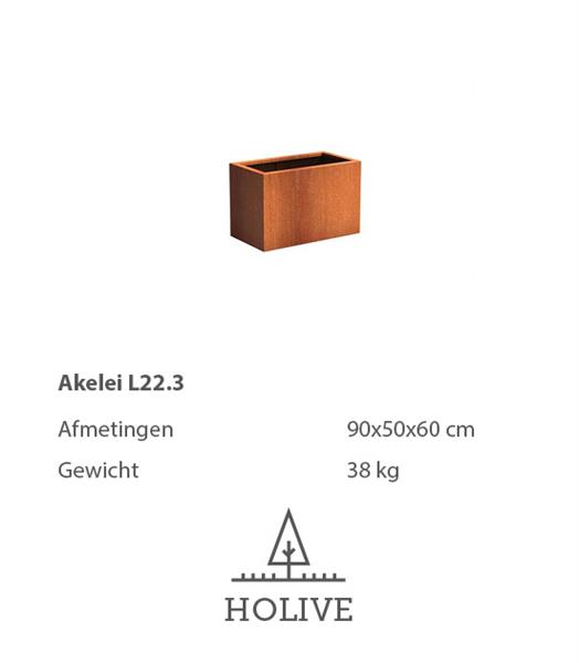 Grote foto cortenstaal akelei l22.3 plantenbak 90x50x60 cm. cortenstalen bloembak tuin en terras bloembakken