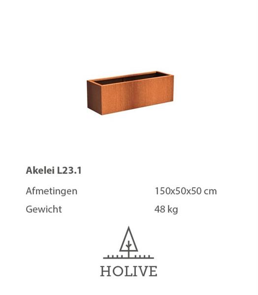Grote foto cortenstaal akelei l23.1 plantenbak 150x50x50 cm. cortenstalen bloembak tuin en terras bloembakken
