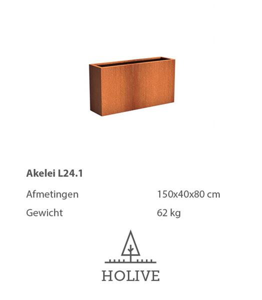 Grote foto cortenstaal akelei l24.1 plantenbak 150x40x80 cm. cortenstalen bloembak tuin en terras bloembakken
