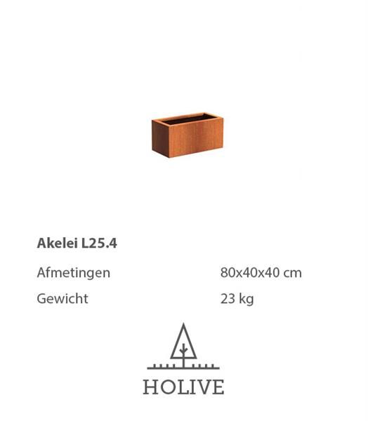 Grote foto cortenstaal akelei l25.4 plantenbak 80x40x40 cm. cortenstalen bloembak tuin en terras bloembakken