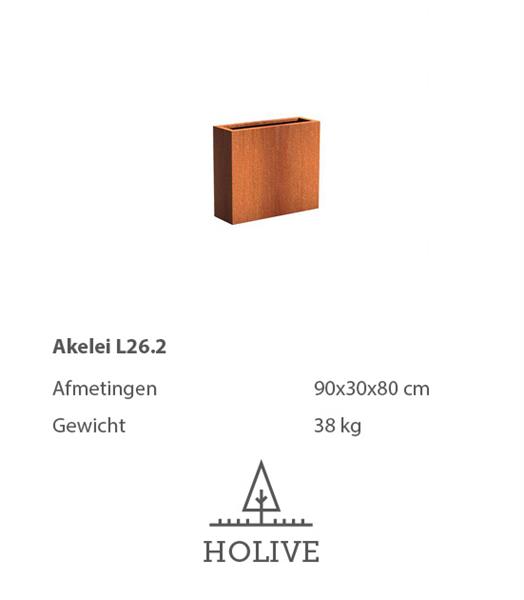 Grote foto cortenstaal akelei l26.2 plantenbak 90x30x80 cm. cortenstalen bloembak tuin en terras bloembakken