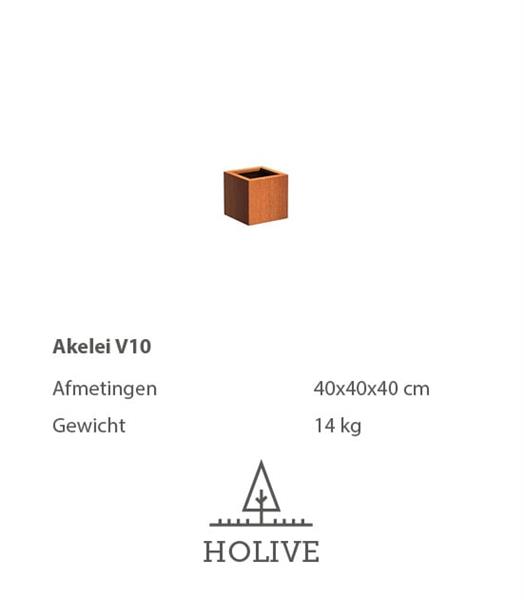 Grote foto cortenstaal akelei v10 plantenbak 40x40x40 cm. tuin en terras bloembakken