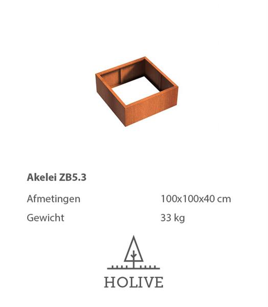 Grote foto cortenstaal akelei zb5.3 plantenbak 100x100x40 cm. tuin en terras bloembakken