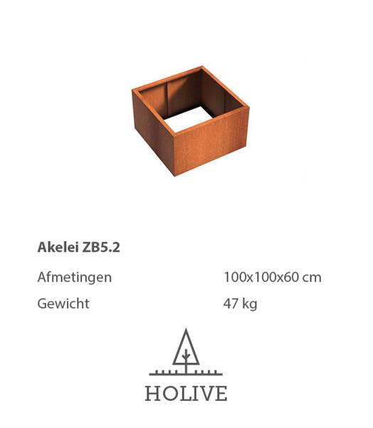 Grote foto cortenstaal akelei zb5.2 plantenbak 100x100x60 cm. tuin en terras bloembakken