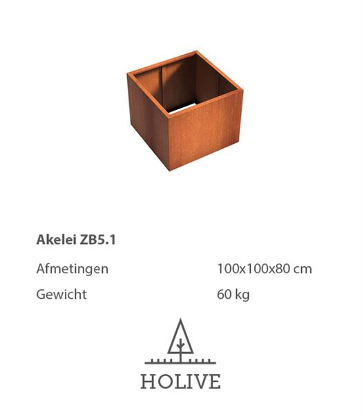 Grote foto cortenstaal akelei zb5.1 plantenbak 100x100x80 cm. tuin en terras bloembakken