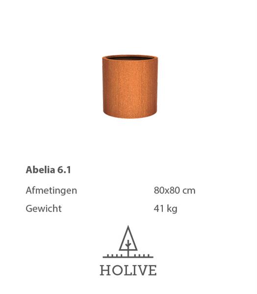 Grote foto cortenstaal abelia 6.1 plantenbak 80x80 cm. tuin en terras bloembakken