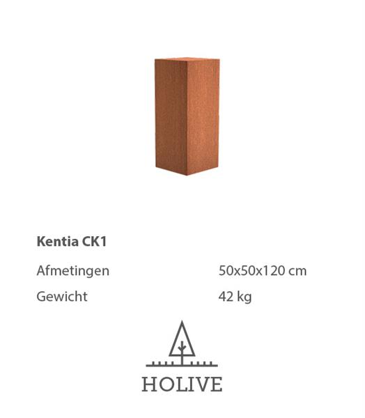 Grote foto sokkel kentia ck1 cortenstaal 50x50x120 cm. huis en inrichting woningdecoratie