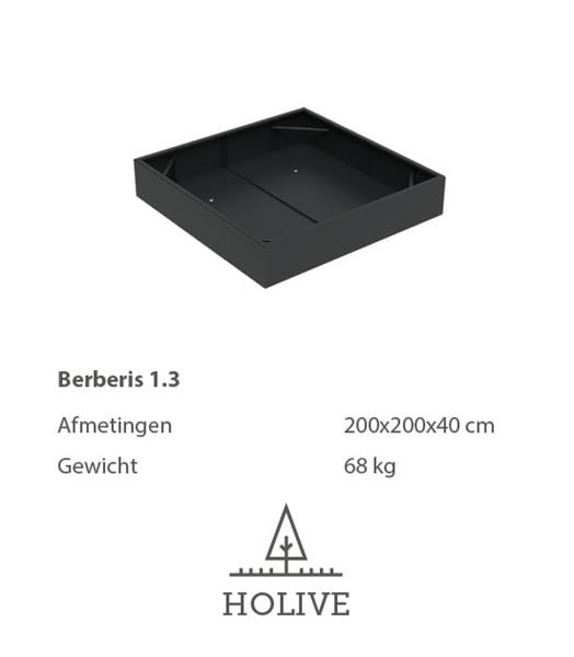 Grote foto berberis 1.3 vierkante aluminum plantenbak 200x200x40 cm. leverbaar in vele kleuren tuin en terras bloembakken