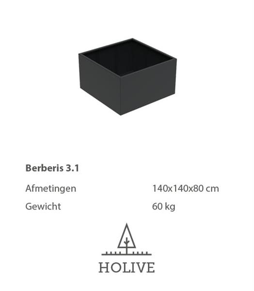 Grote foto berberis 3.2 vierkante aluminum plantenbak 140x140x60 cm. leverbaar in vele kleuren tuin en terras bloembakken