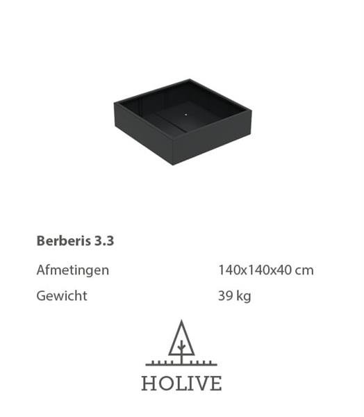 Grote foto berberis 4.1 vierkante aluminum plantenbak 120x120x80 cm. leverbaar in vele kleuren tuin en terras bloembakken