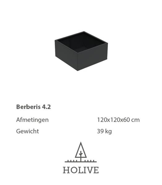 Grote foto berberis 4.2 vierkante aluminum plantenbak 120x120x60 cm. leverbaar in vele kleuren tuin en terras bloembakken