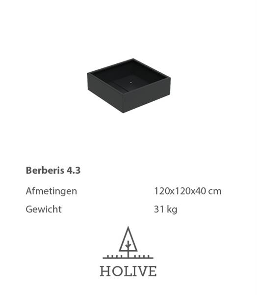 Grote foto berberis 4.3 vierkante aluminum plantenbak 120x120x40 cm. leverbaar in vele kleuren tuin en terras bloembakken