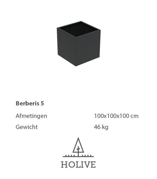 Grote foto berberis 5 vierkante aluminum plantenbak 100x100x100 cm. leverbaar in vele kleuren tuin en terras bloembakken