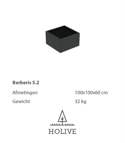 Grote foto berberis 5.2 vierkante aluminum plantenbak 100x100x60 cm. leverbaar in vele kleuren tuin en terras bloembakken