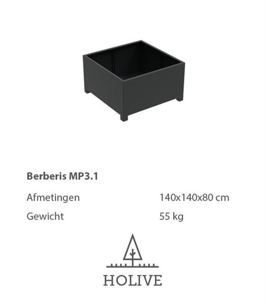 Grote foto berberis mp 4.1 plantenbak 140x140x80 cm. tuin en terras bloembakken