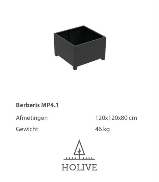 Grote foto berberis plantenbak 120x120x80 cm. tuin en terras bloembakken