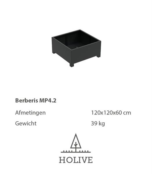 Grote foto berberis plantenbak 120x120x60 cm. tuin en terras bloembakken