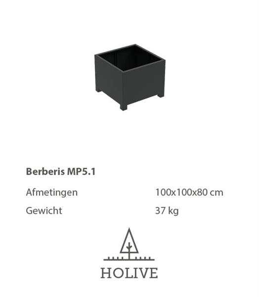 Grote foto berberis mp5.1 plantenbak 100x100x80 cm. tuin en terras bloembakken
