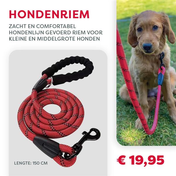 Grote foto comfortabele hondenriem riem voor kleine en grote honden reflecterend in diverse kleuren huis en inrichting woningdecoratie