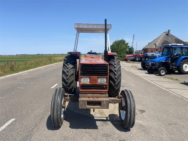 Grote foto fiat 80 66 agrarisch tractoren