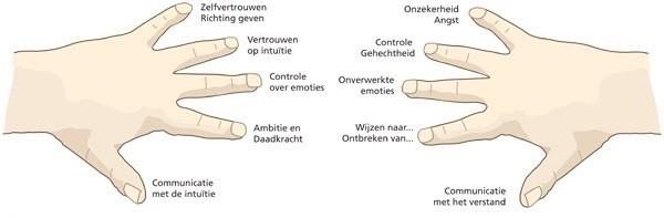 Grote foto leer wat je vingers vertellen over jouw leven diensten en vakmensen alternatieve geneeskunde en spiritualiteit