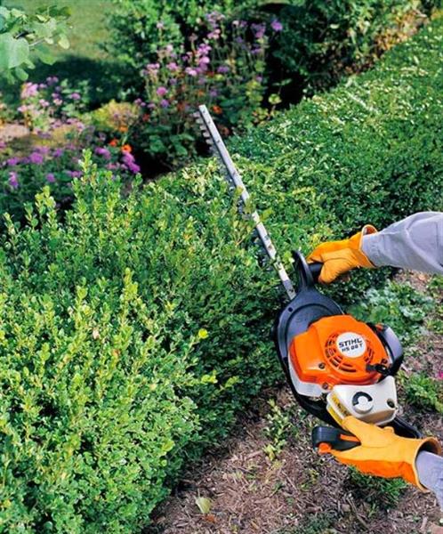 Grote foto tuinman kampen diensten en vakmensen tuinmannen en stratenmakers