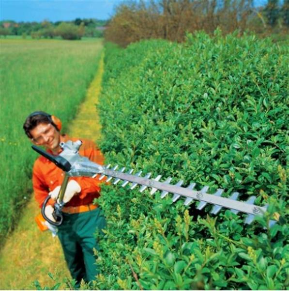 Grote foto tuinman kampen diensten en vakmensen tuinmannen en stratenmakers