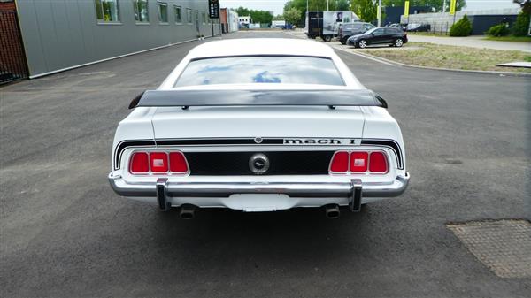 Grote foto ford mustang mach 1 fastback auto ford