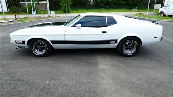 Grote foto ford mustang mach 1 fastback auto ford
