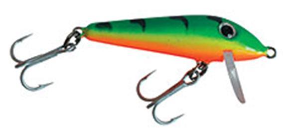 Grote foto forel vissen watersport en boten algemeen