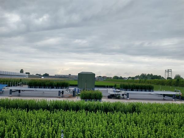 Grote foto bufferband met overduwer voor potplanten en trays agrarisch tuinbouw