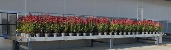 Grote foto nieuwe bufferband met overduwer voor potplanten en trays agrarisch tuinbouw