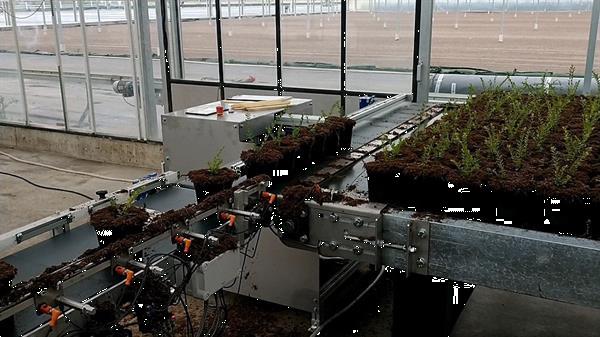 Grote foto bufferband met overduwer voor potplanten en trays agrarisch tuinbouw