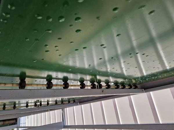 Grote foto aweta transportband 900 x 120 cm gebruikt voor buffering v r sortering agrarisch transportbanden