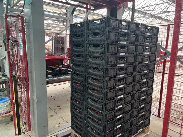 Grote foto taks mpl palletiseermachine agrarisch tuinbouw