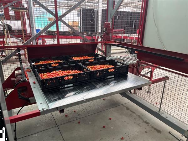 Grote foto taks mpl palletiseermachine agrarisch tuinbouw