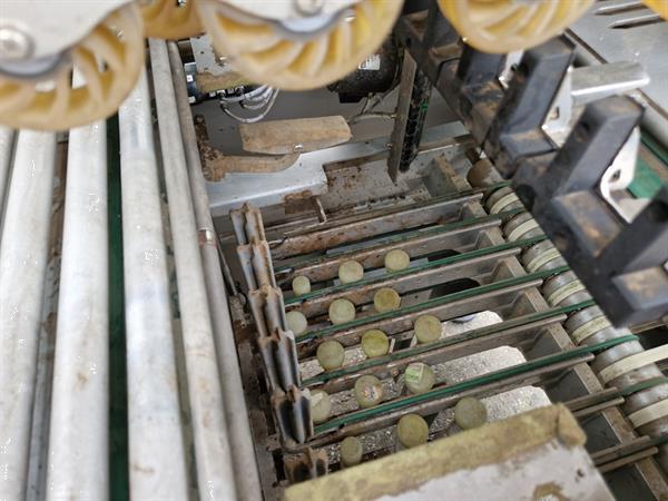 Grote foto fabbri waldyssa automac 75 b rvs stretchfolie verpakkingsmachine agrarisch tuinbouw