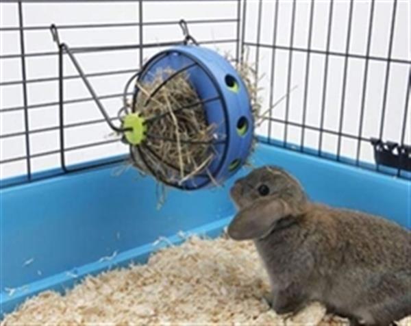 Grote foto konijnenhok konijnenhokken paradijs chewies xl dieren en toebehoren hokken en kooien