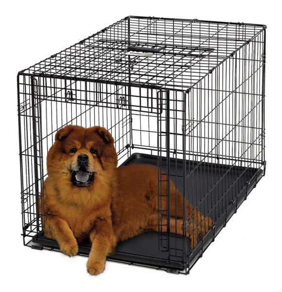 Grote foto bench hondenbench puppy specialist chewies xl dieren en toebehoren hondenhokken en kooien