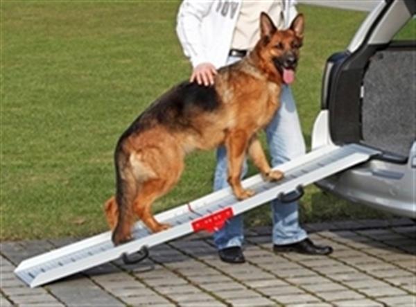Grote foto honden hondenloopplank hout of aluminium vanaf dieren en toebehoren toebehoren