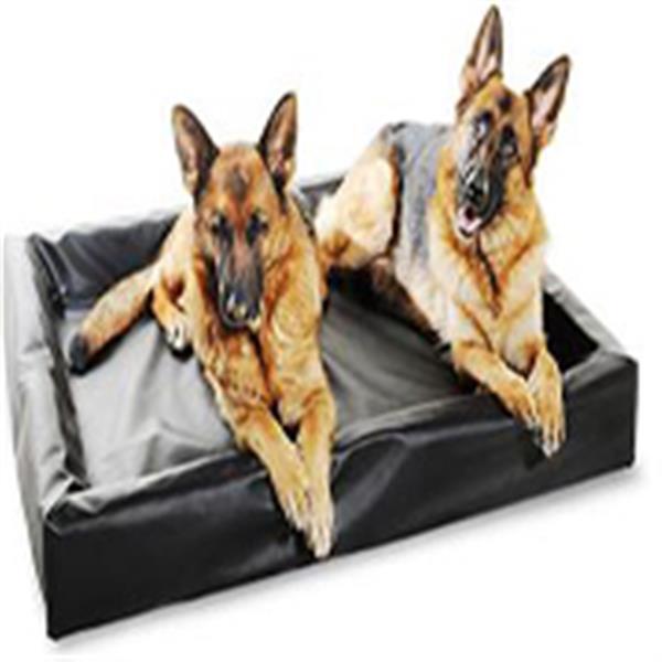 Grote foto anti blaf band petsafe met 6 niveau 44 99 dieren en toebehoren toebehoren