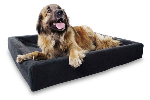 Grote foto hondenmand specialist chewies xl sale hondemandjes dieren en toebehoren katten accessoires