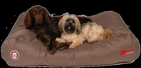 Grote foto hondenmand specialist chewies xl sale hondemandjes dieren en toebehoren katten accessoires