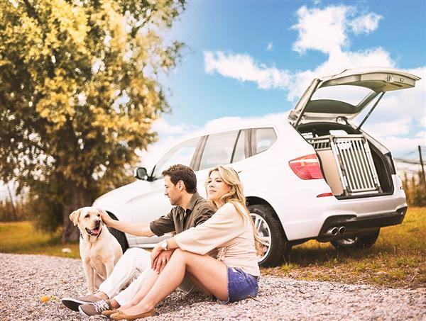 Grote foto topdeal a kwaliteitsbench zwart met gratis vetbed dieren en toebehoren hondenhokken en kooien